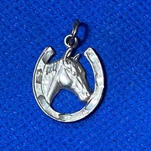 Horse 🐎🧲🐴 Charm
